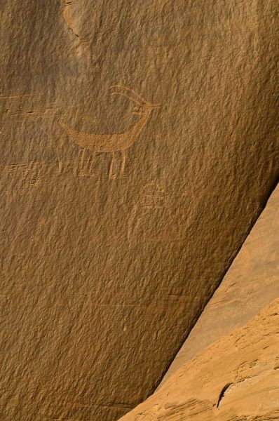 UT, Monument Valley Ancient petroglyphs